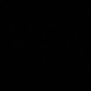 Meet your Posher, Ingrid